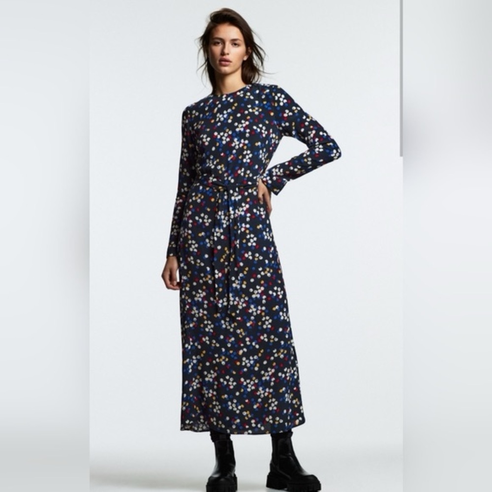 Zara The Lexi Multicolor Maxi Dress